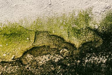 Humedades en edificaciones